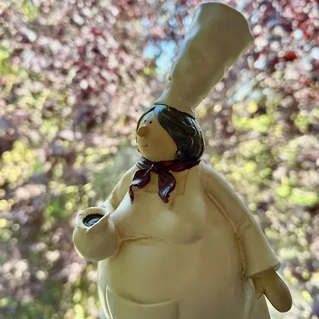 Apartment Deichkuppe - *